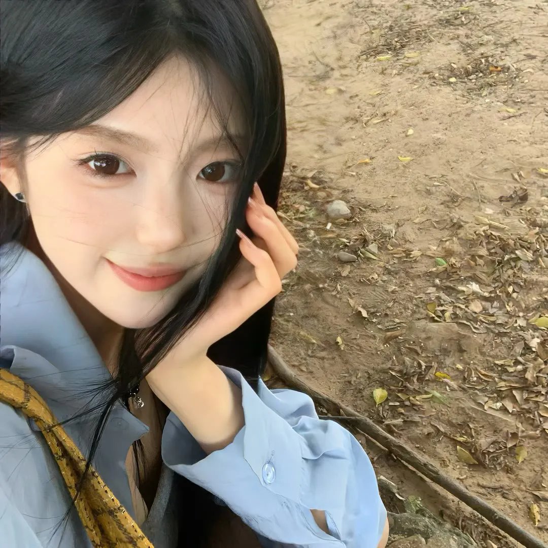 鸡密真相
